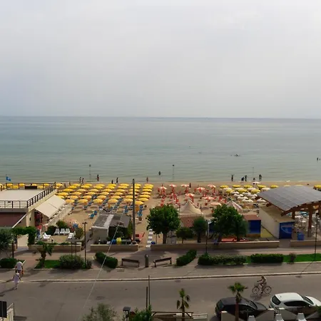 Felicioni Пинето