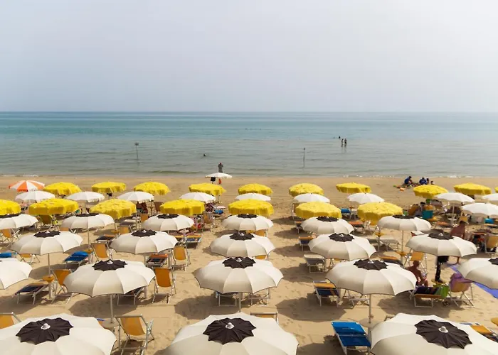 Felicioni Пинето