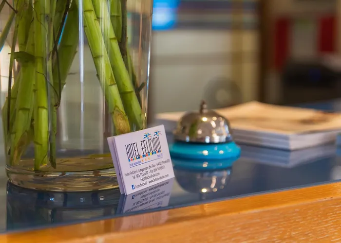 Felicioni Пинето